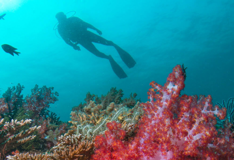 Малайзийская сказка: от небоскрёбов к белым пляжам 1