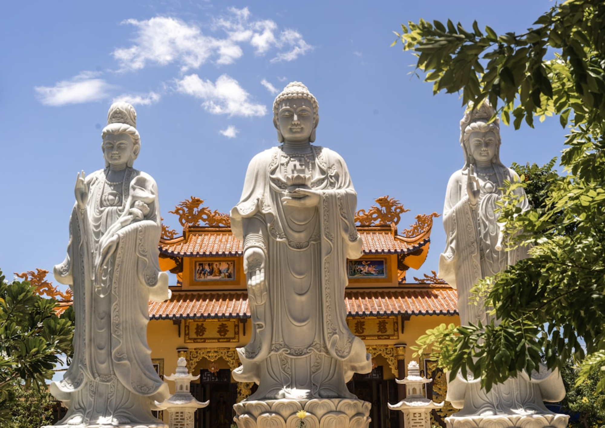 Нячанг - Прямые рейсы Аэрофлот [VVO] 3