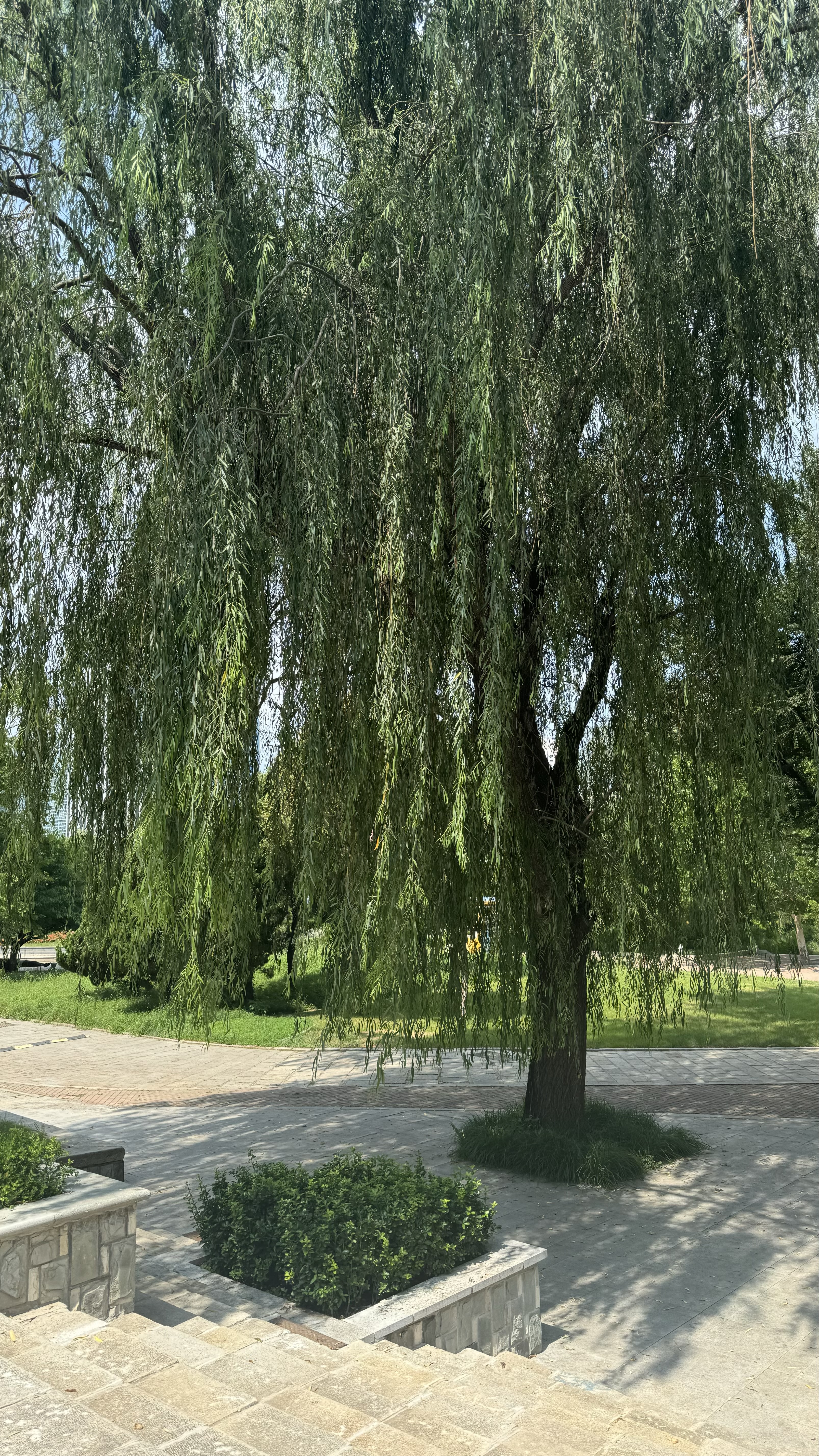 Далянь - Прямой чартер из Хабаровска 5