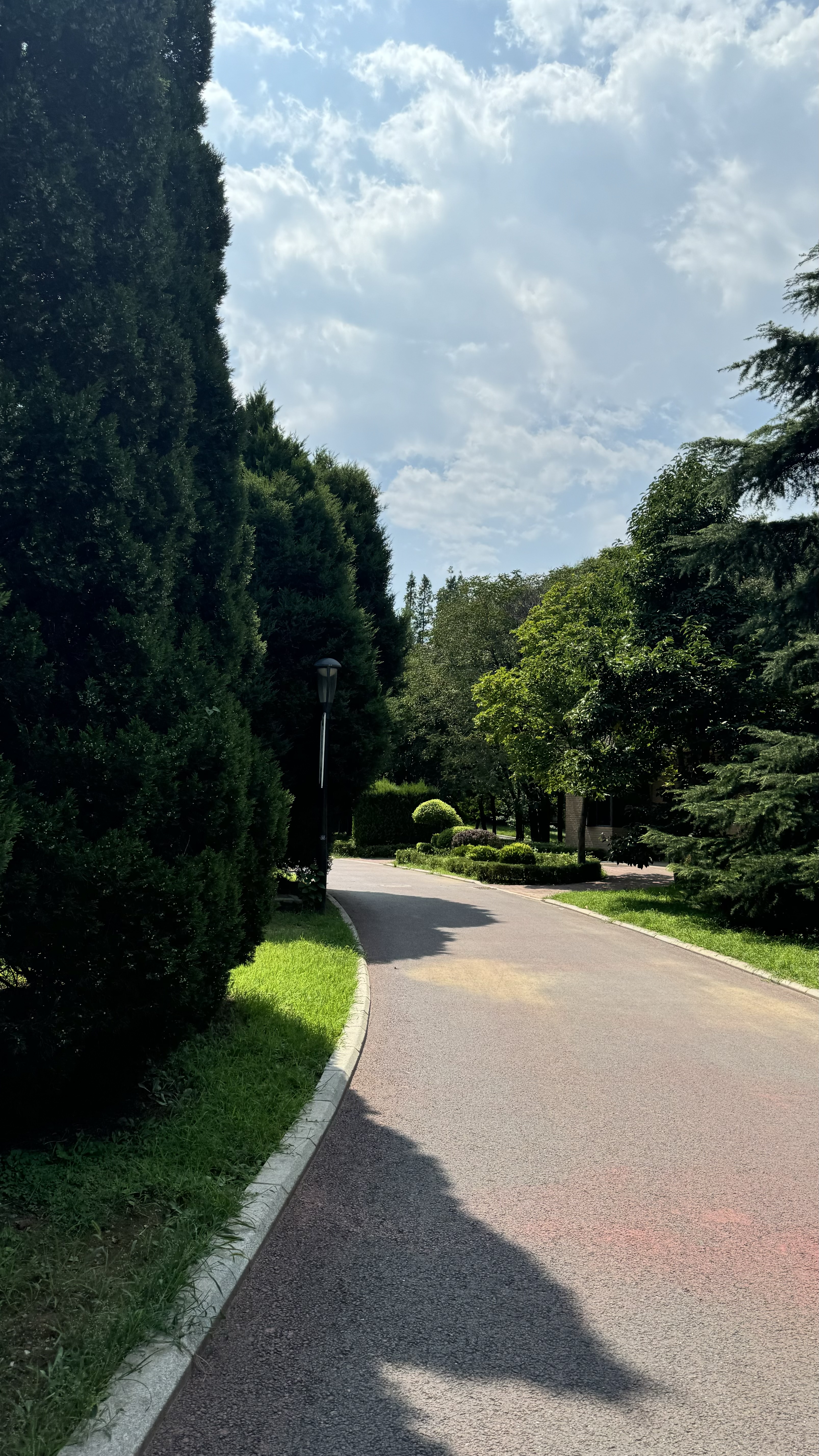 Далянь - Прямой чартер из Хабаровска 4