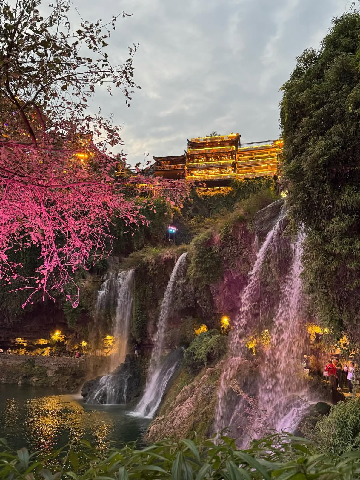 Горы «Аватара» - Прямой рейс 7