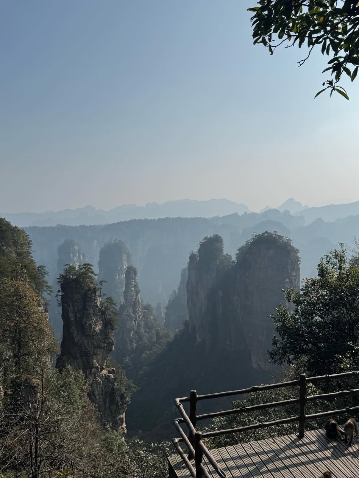 Горы «Аватара + Фуронг» - Премиум пакет [ЧАРТЕР] 4