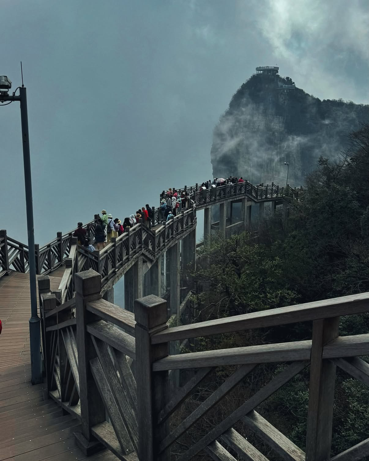 Горы «Аватара» - Прямой рейс 4