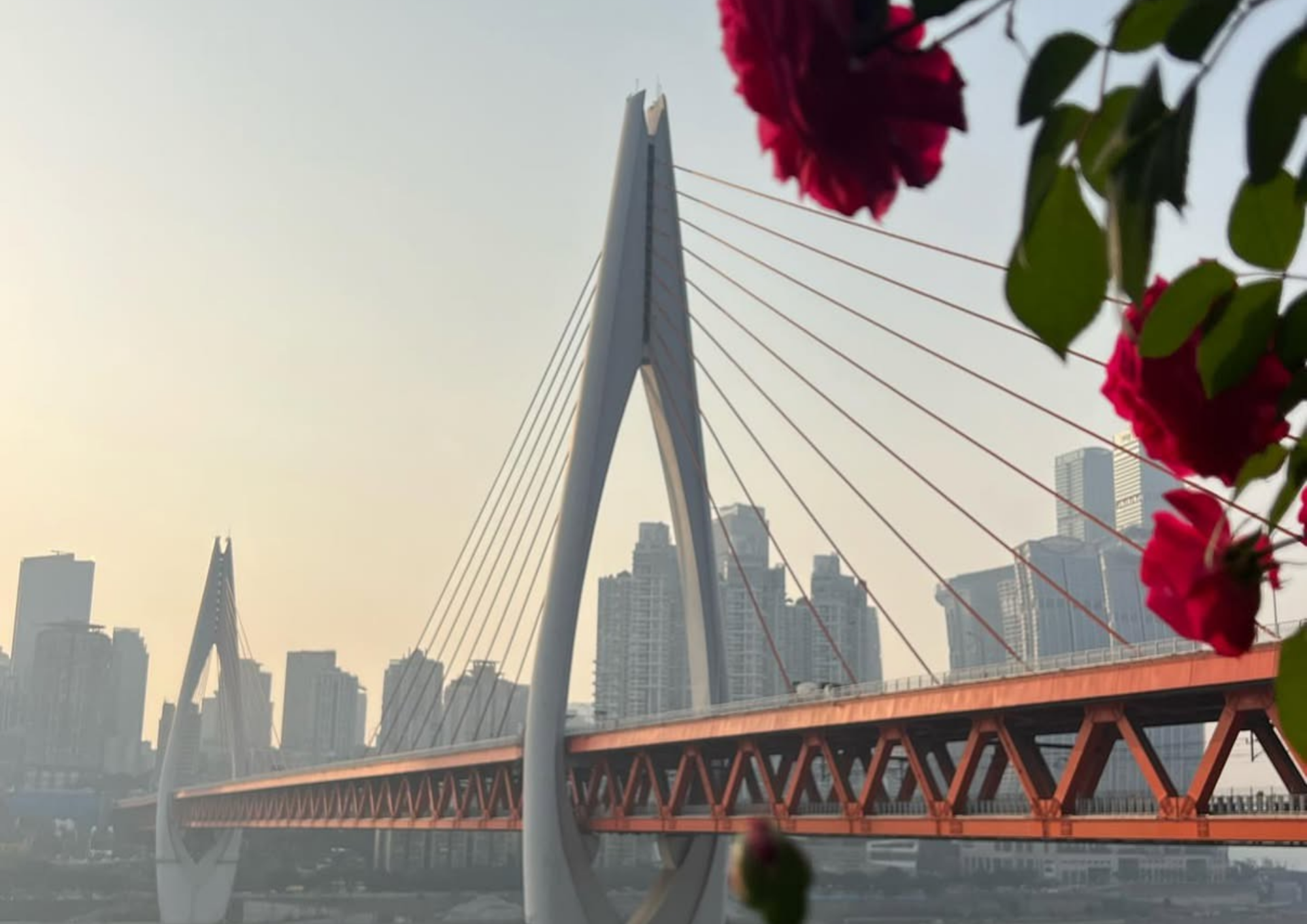 Чунцин через Харбин из Благовещенска 1