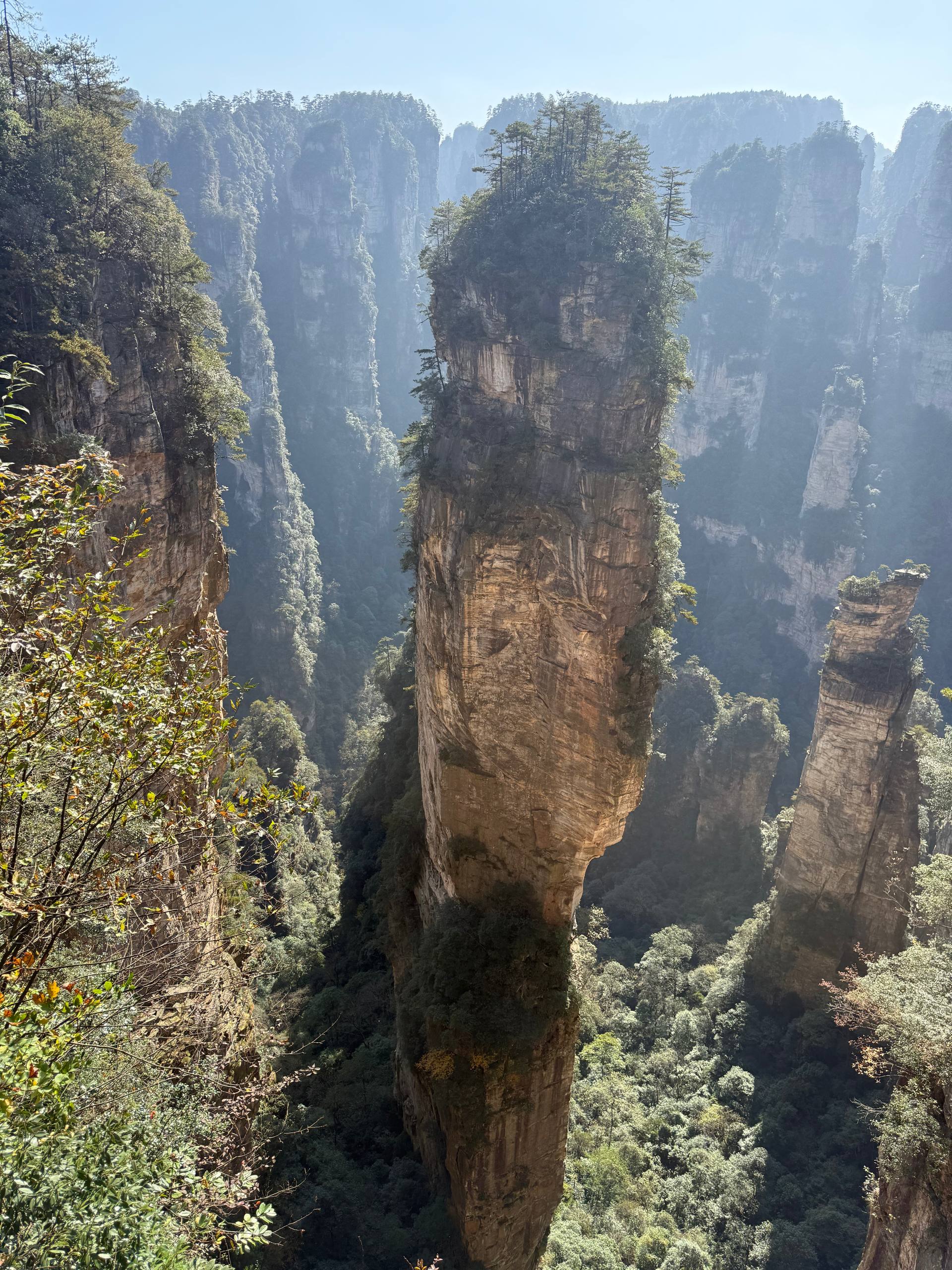 Горы «Аватара» - Прямой рейс 5