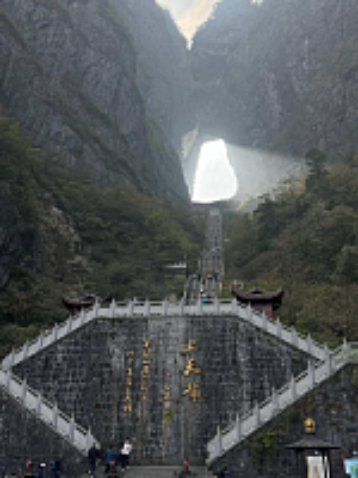 Горы «Аватара + Фуронг» - Премиум пакет [ЧАРТЕР] 3