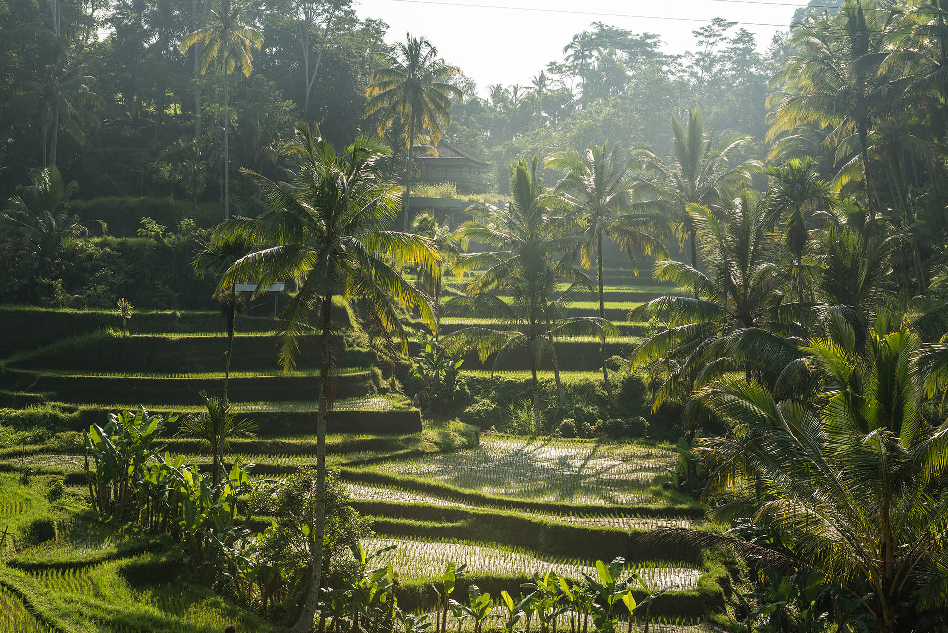 о.Бали - Перелет через Шанхай 10