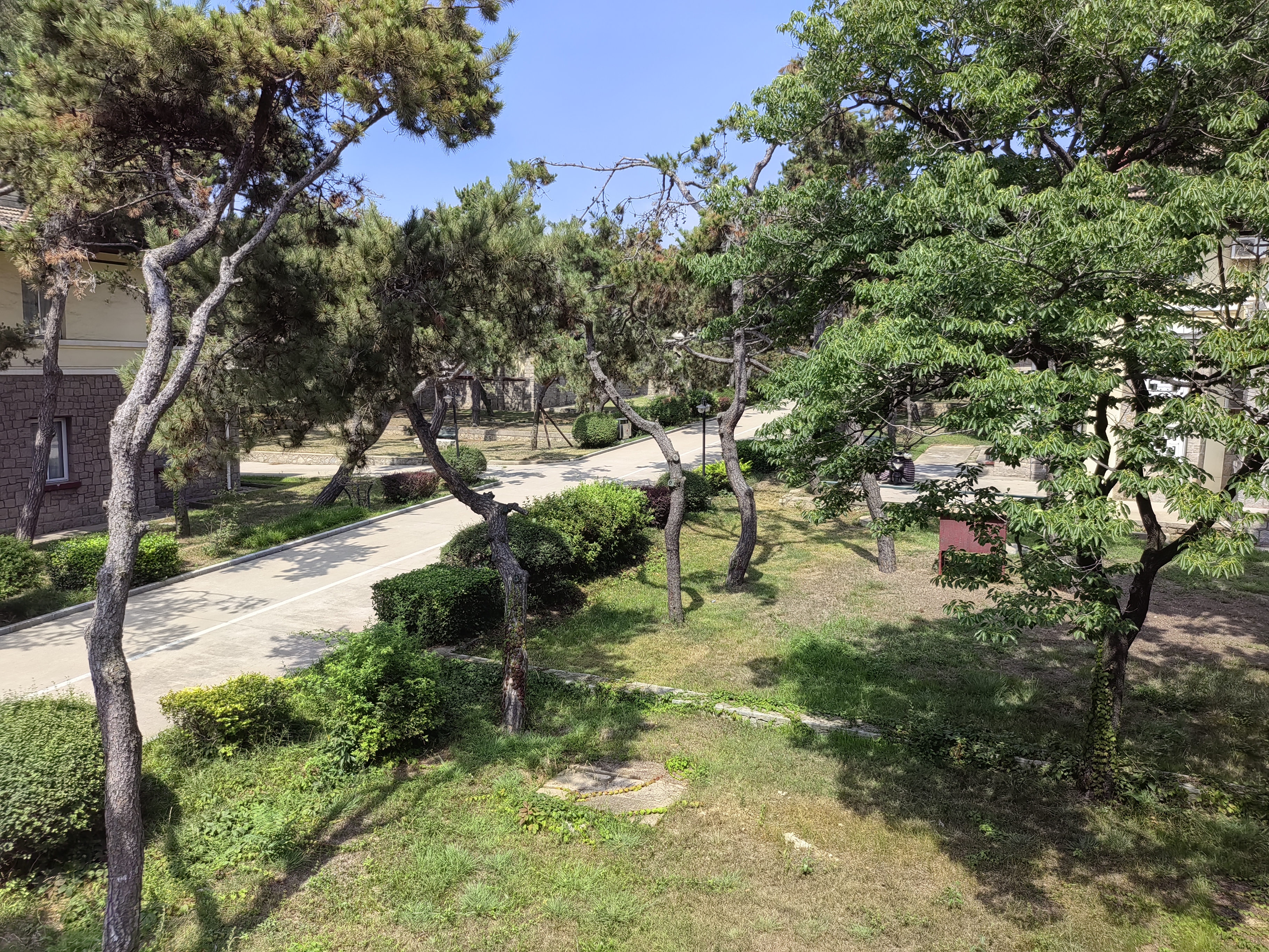 Friendship Hotel (Дружба) 1