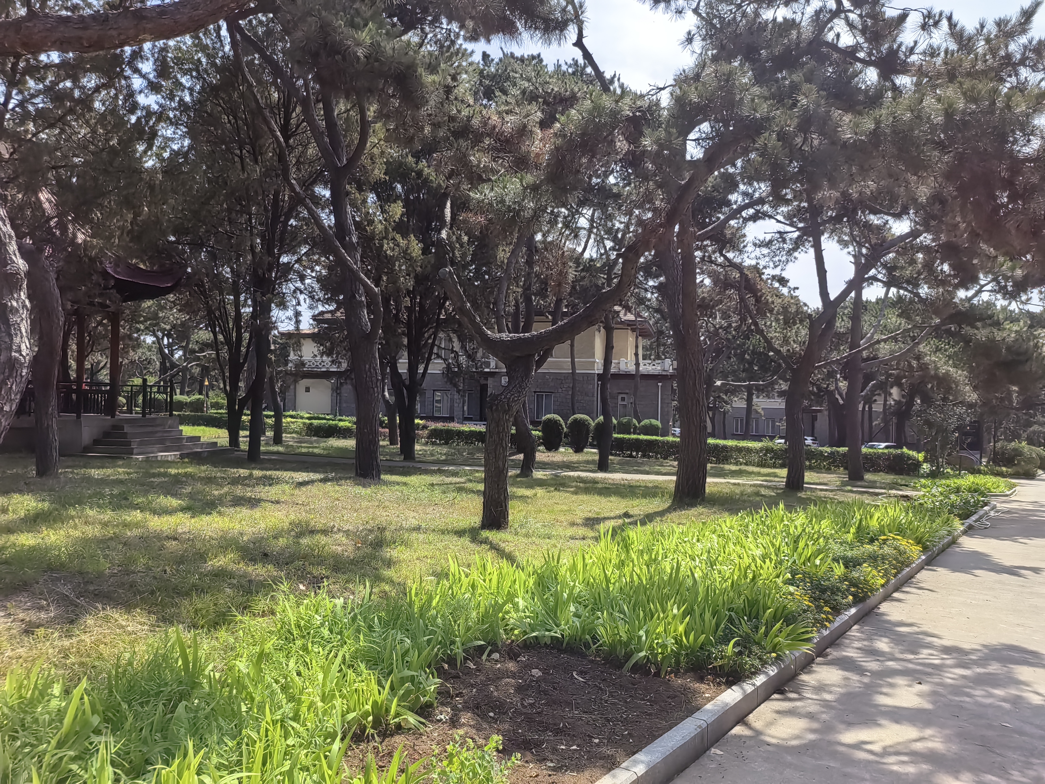 Friendship Hotel (Дружба) 3