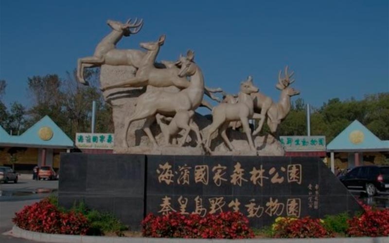 Зоопарк-сафари в Бэйдайхэ