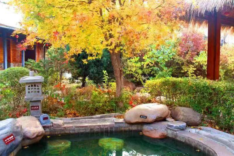 Xiongyue Tianmu Hot Spring Resort (Ботанический сад)