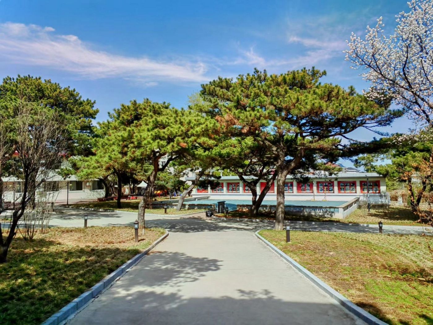 Желтое море 0