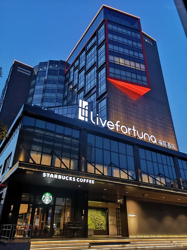 Livefortuna Hotel 8