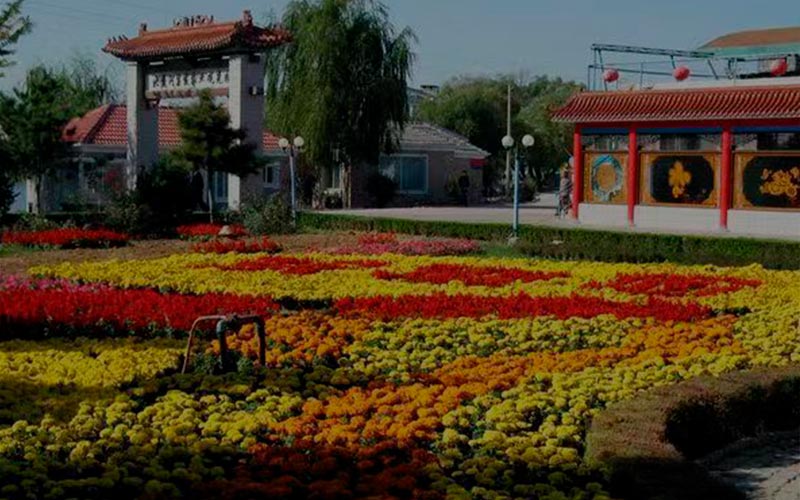 Ботанический сад в Бэйдайхэ