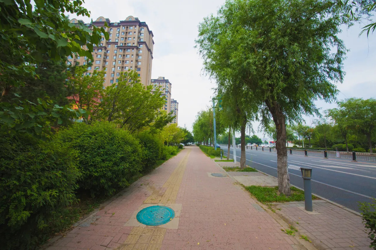 City Convenience Hotel (Changchun High-tech Zone Guanggu Street Store) 14