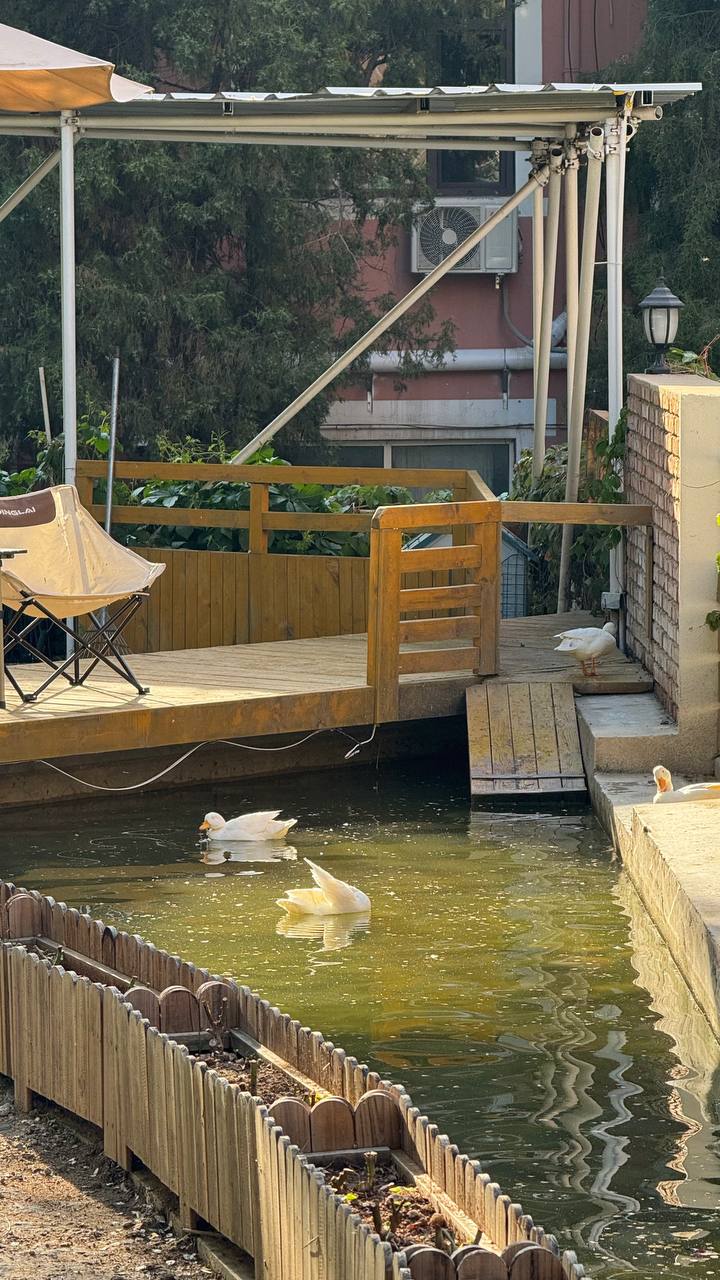 Wanda Reign (ex. Xuanhe Hotel), корпус 1/2 5