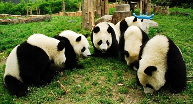 Даляньский зоопарк