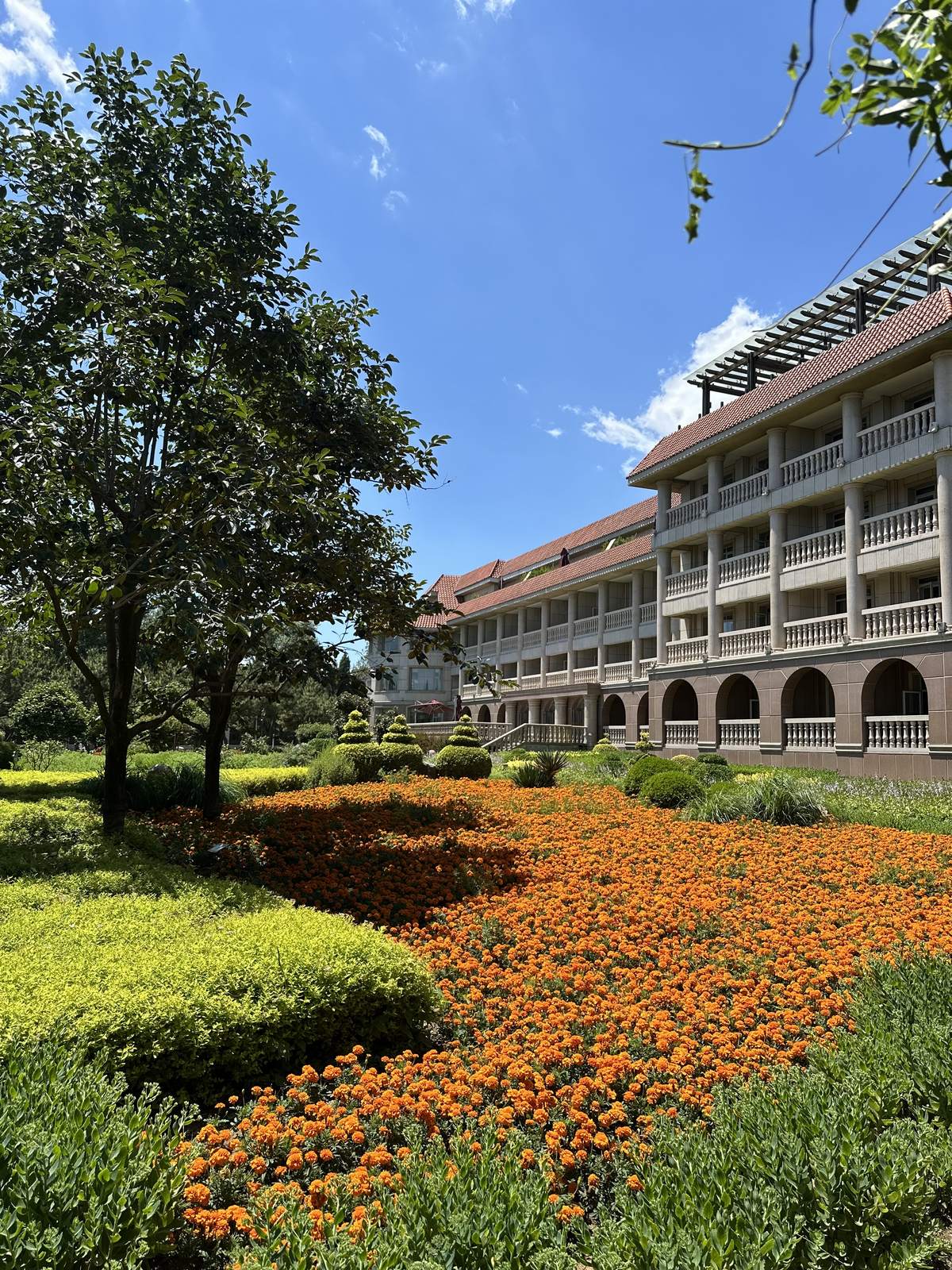 Gorizont (ex.Народная газета), корпус 3 1