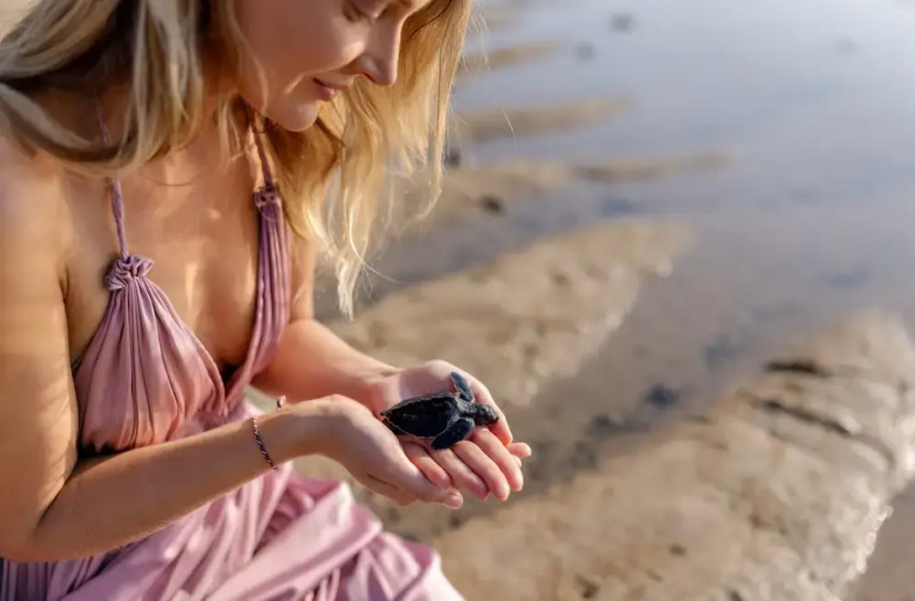 Sumitra Luxury Villas & Resort by Pramana 8