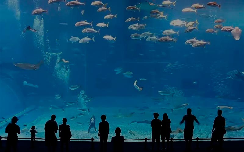 Океанариум и дельфинарий в Бэйдайхэ