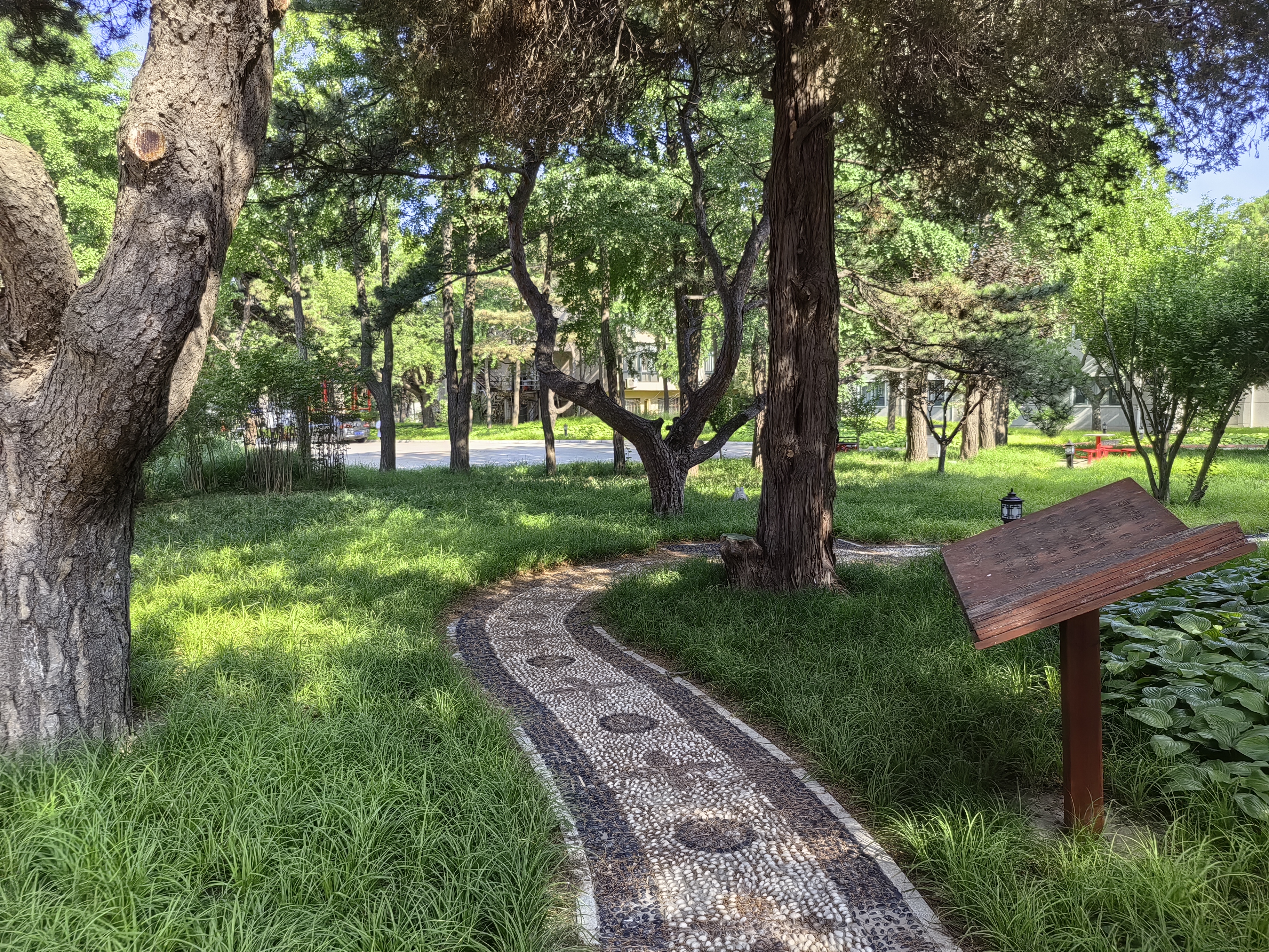 Railway Sanatorium (Черное море) 6