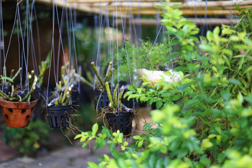 An Nhien Retreat Phu Quoc 21