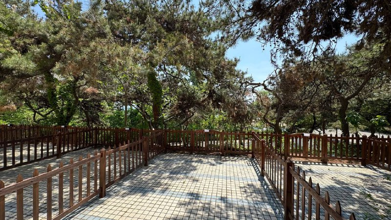 Транспортная, Building 5-11 2