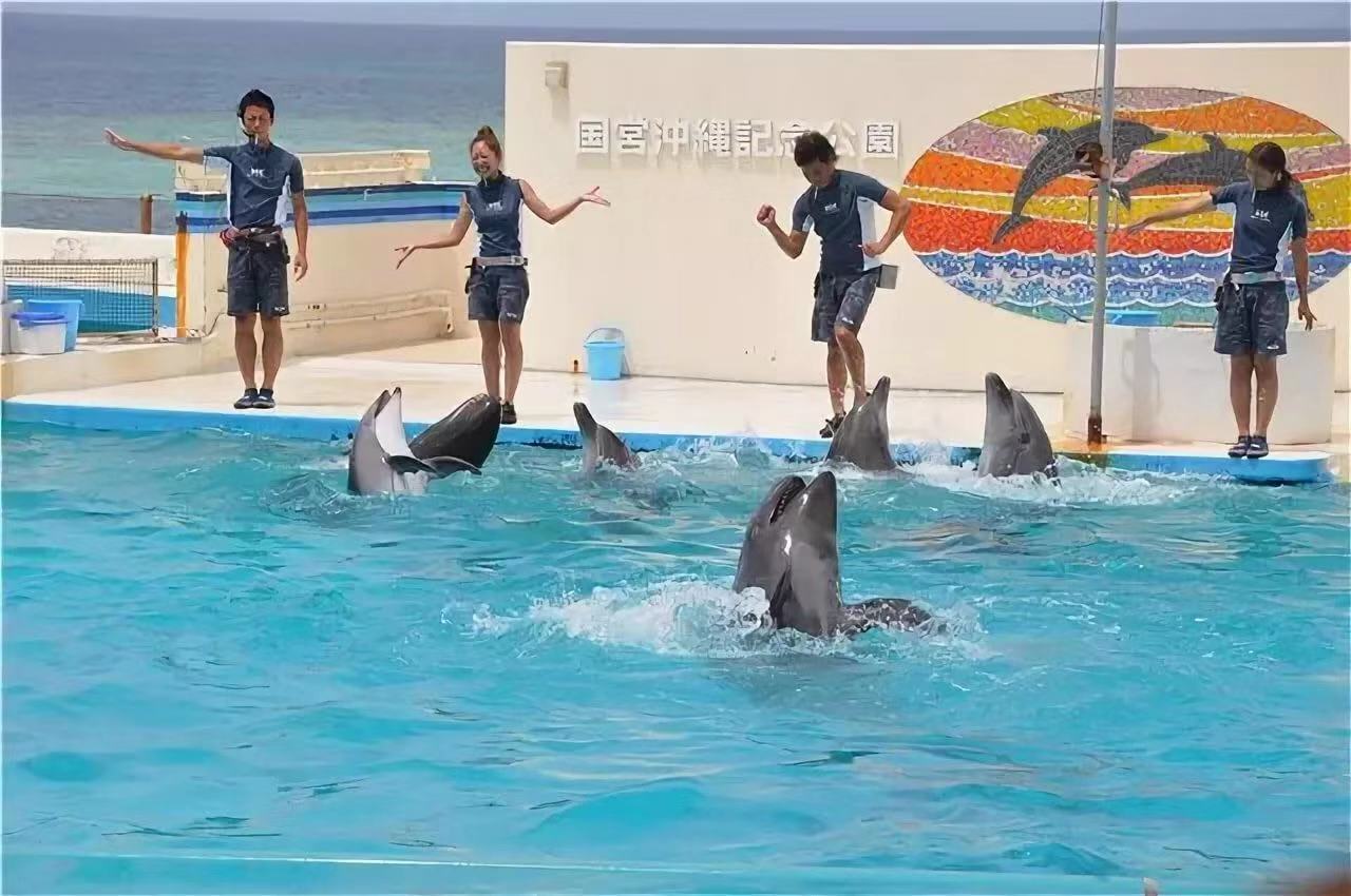 Океанариум и дельфинарий в Бэйдайхэ