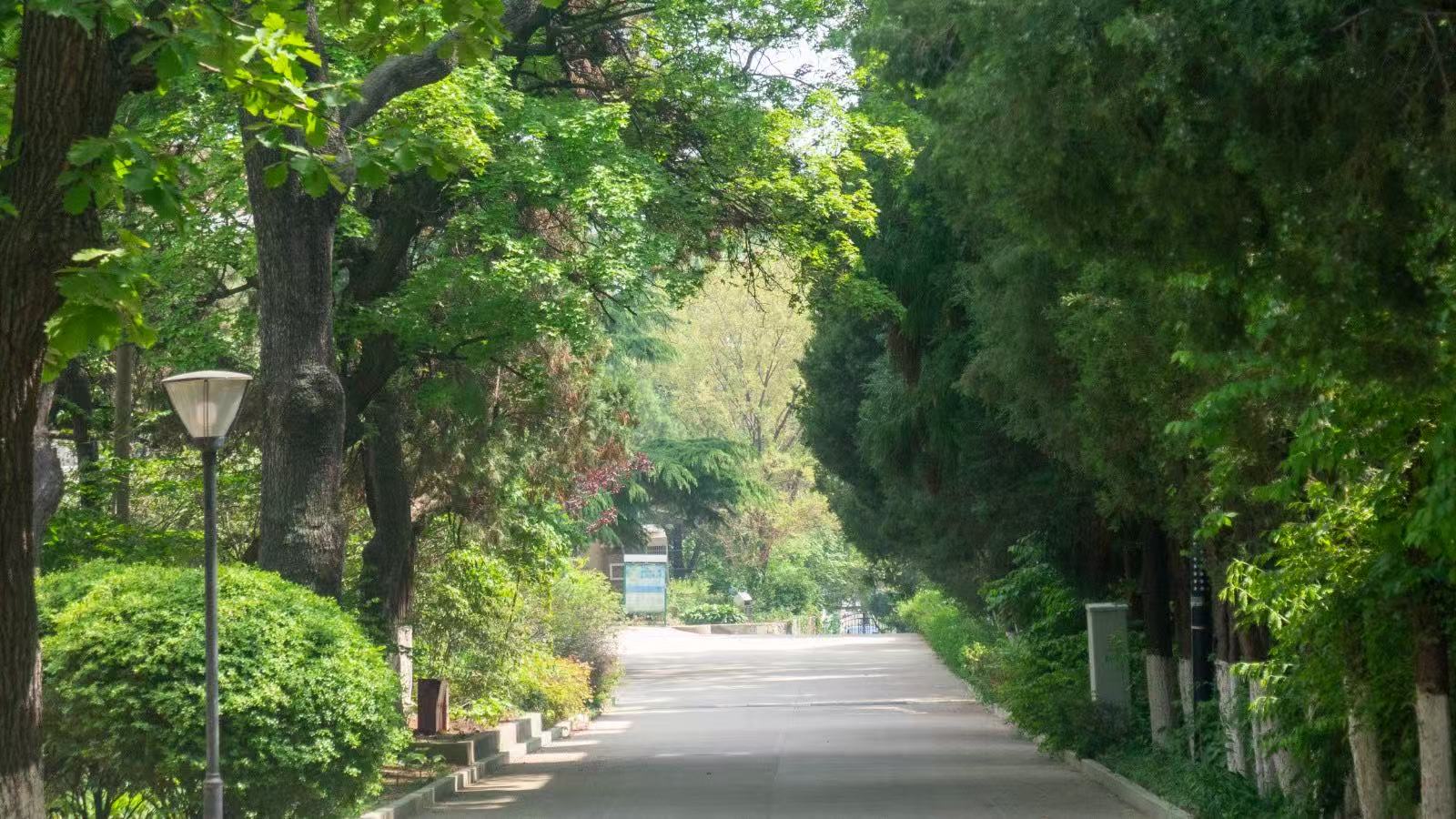 Beidaihe Traffic Care Center (Транспортная) 1