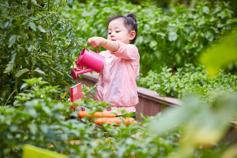 Grand Hyatt Sanya Haitang Bay Resort & Spa 27