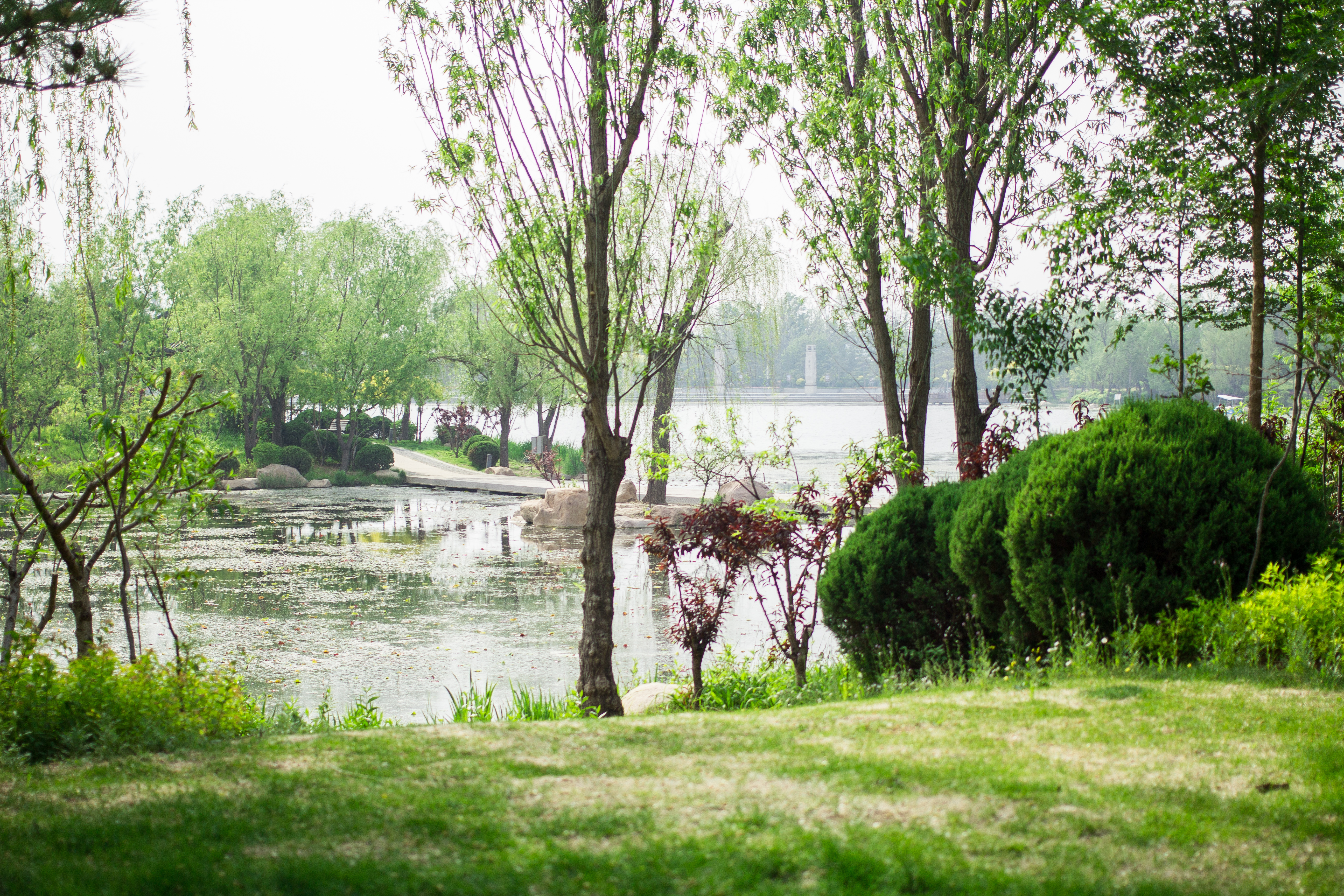 Экопарк «Бэйдайхэ»