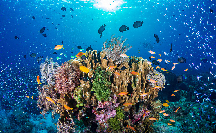 о.Бали - Перелет через Шанхай 5