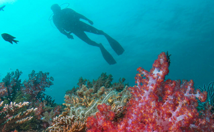 Малайзийская сказка: от небоскрёбов к белым пляжам 1