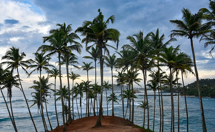 Шри-Ланка - Изображение 3