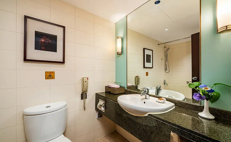 Grand Dynasty Culture Hotel  фото 10