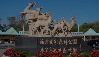 Зоопарк-сафари в Бэйдайхэ