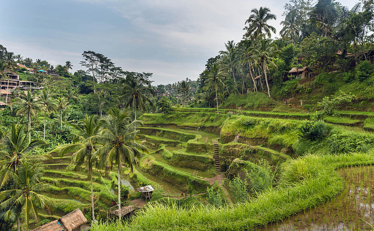 о.Бали - Перелет через Шанхай 3