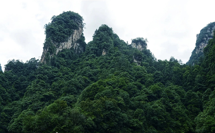 Чжанцзяцзе - Изображение 11