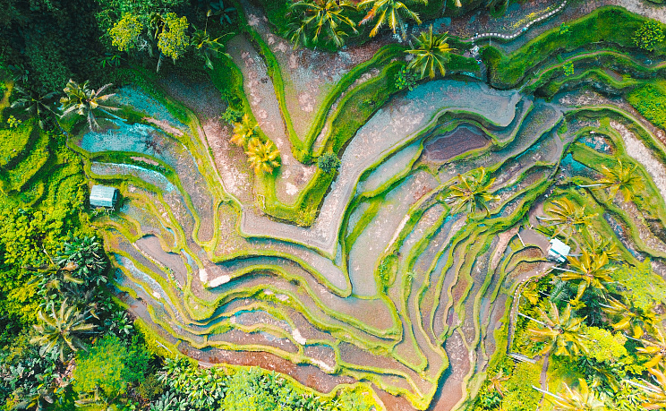 Индонезия - Изображение 0