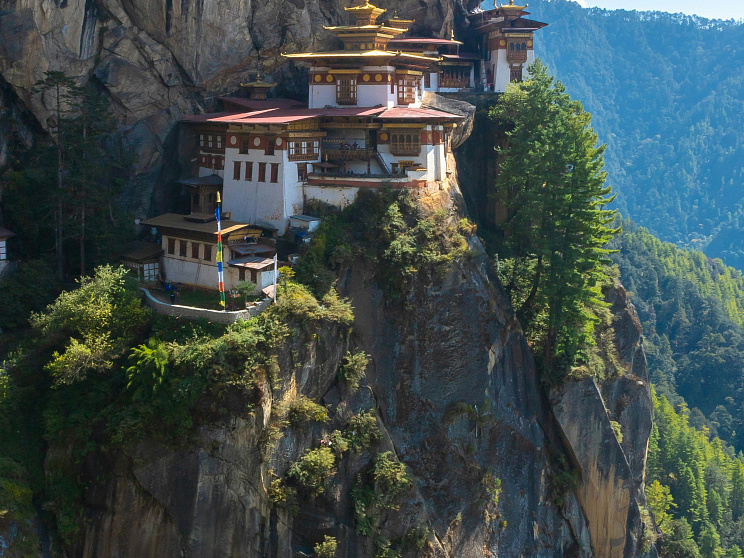 Паро - Изображение 