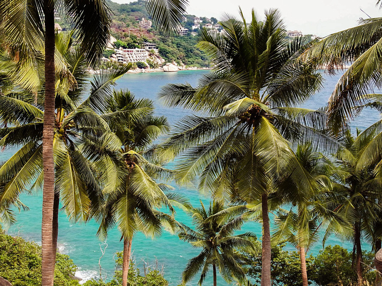 Самуи - Изображение 