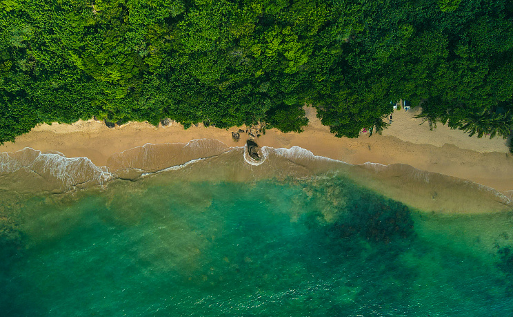 Шри-Ланка - Изображение 0