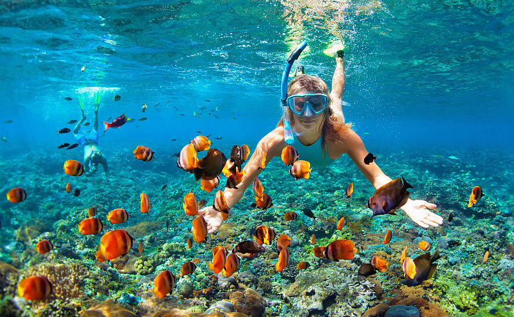 Мале - Изображение 9