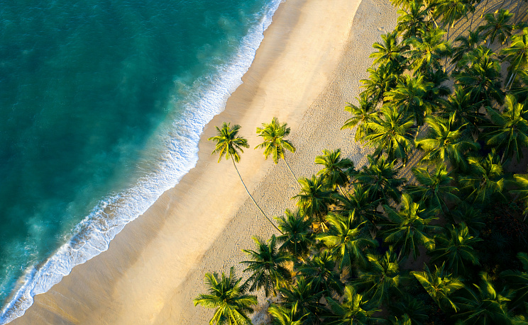 Шри-Ланка - Изображение 2