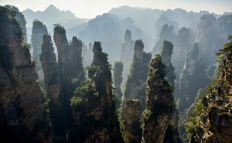 Горы «Аватара» - Прямой рейс 4