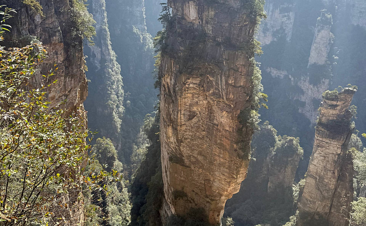 Горы «Аватара» - Прямой рейс 5