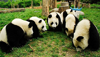 Даляньский зоопарк