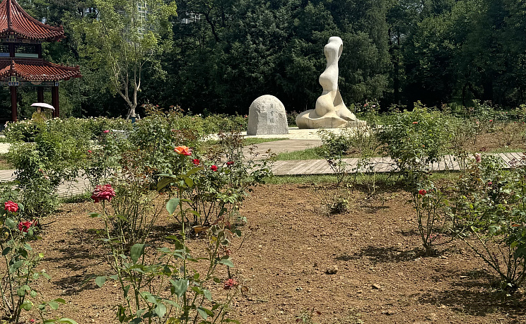 Далянь - Прямой чартер из Хабаровска 6