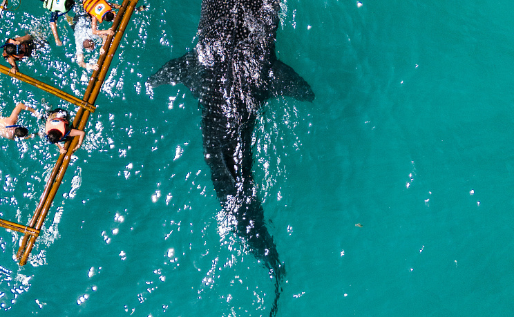 Филиппины - Изображение 3