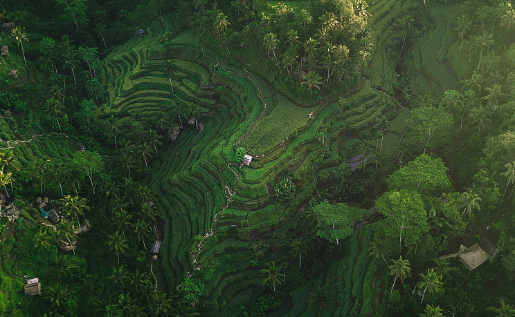 Индонезия - Изображение 3